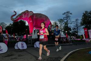 BIB: 
                            <button type="button" onclick="openModal(26529638)" class="btn btn-primary btn-sm float-right btn-popup" data-toggle="modal" data-target=".modal-high-quality">
                        <i class="fas fa-shopping-cart"></i> Add to Cart
                    </button>
                                            <button type="button" onclick="isThisMe(26529638, true)" class="btn btn-success btn-sm float-right btn-popup btn-isme hidden" data-toggle="tooltip" data-placement="bottom" title="นี่คือรูปของคุณใช่ไหม คลิกที่นี่เพื่อเอาเข้าอัลบั้ม">
                        <i class="fas fa-plus"></i> Add to album
                    </button>
                    <button type="button" onclick="isThisMe(26529638, false)" class="btn btn-warning btn-sm float-right btn-popup btn-isnotme hidden">
                        <i class="fas fa-ban"></i> Remove from album
                    </button>